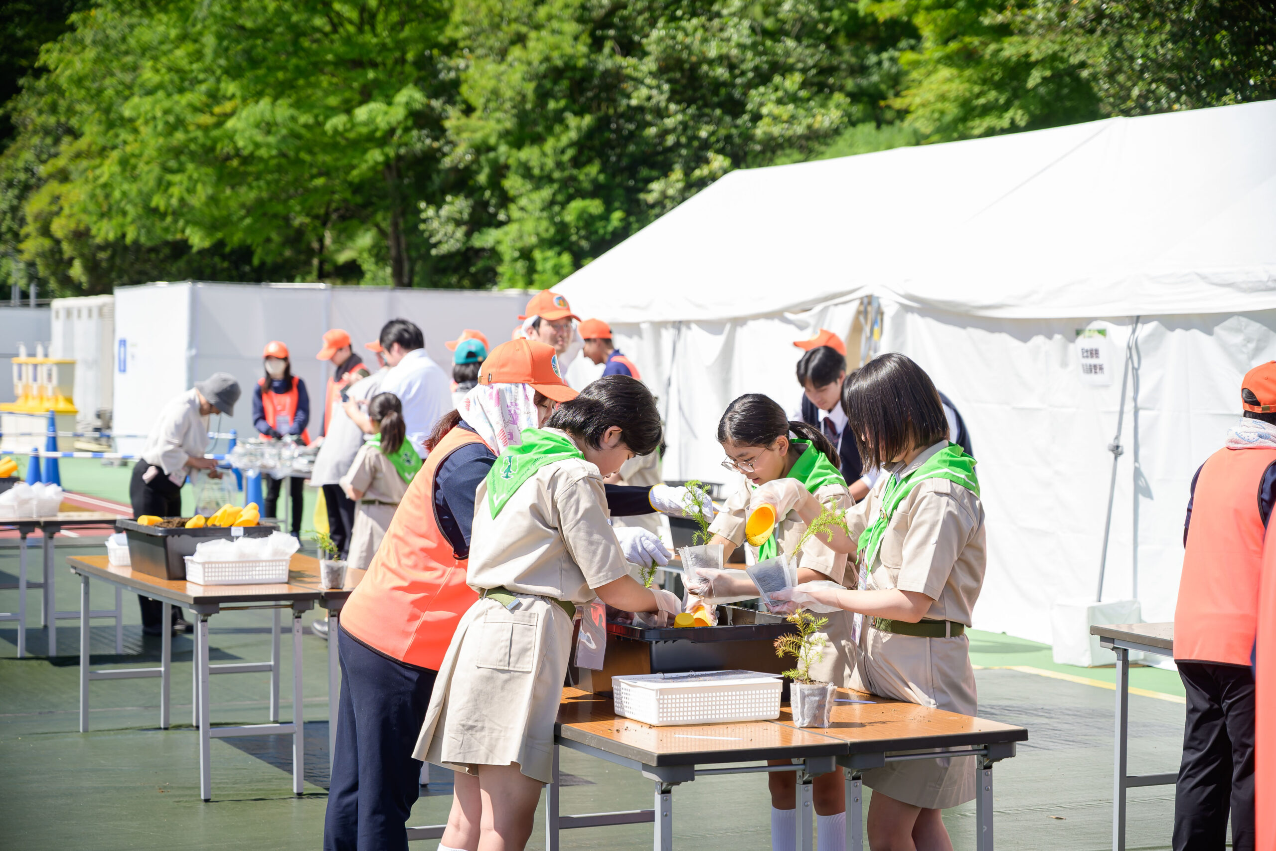 写真2